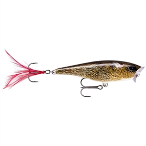 Rapala Skitter Pop - Live Field Mouse